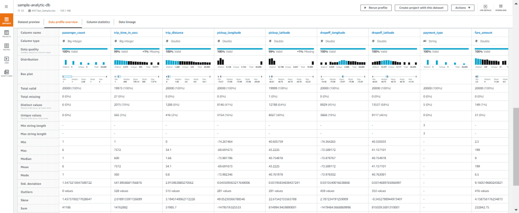 AWS OLAP: Dataset Profiling